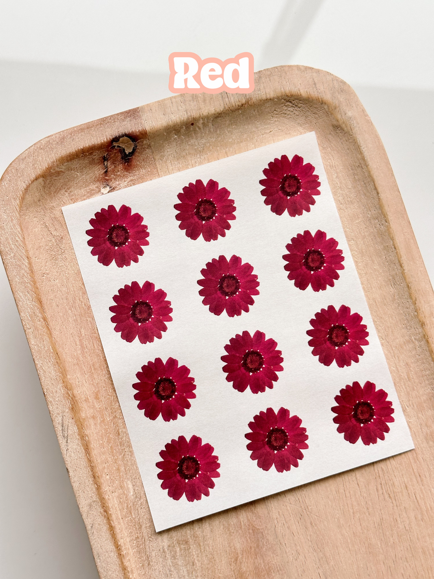 Pressed Flower Singles Transfer Sheets
