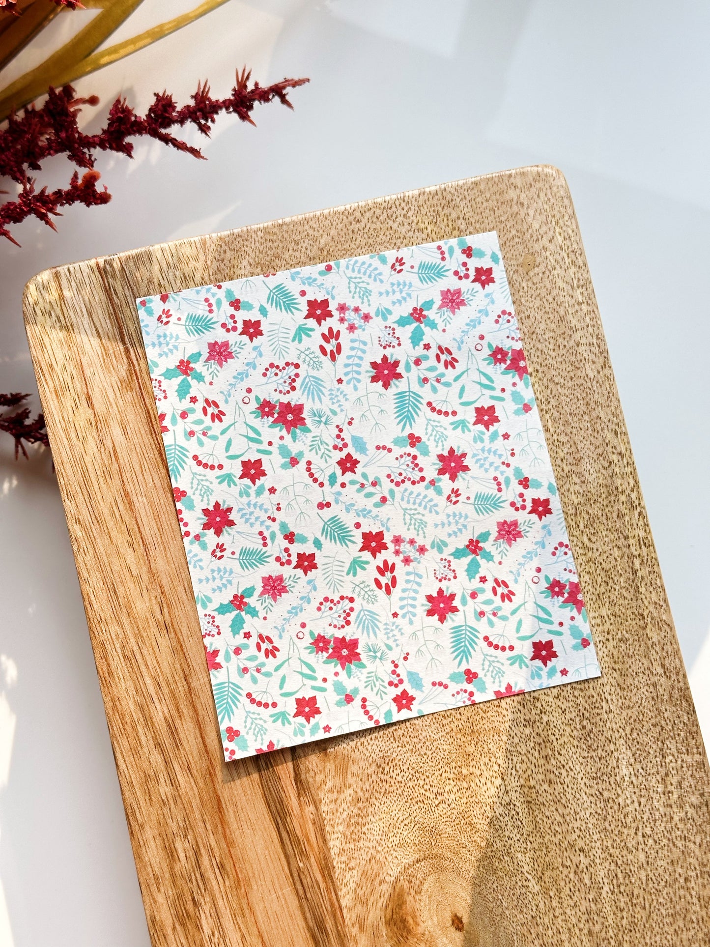 Transferencia de invierno 7