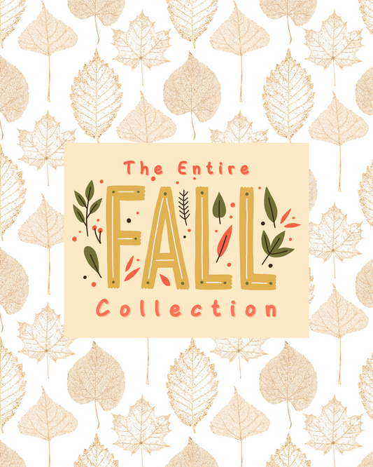 ENSEMBLE AUTOMNE COMPLET