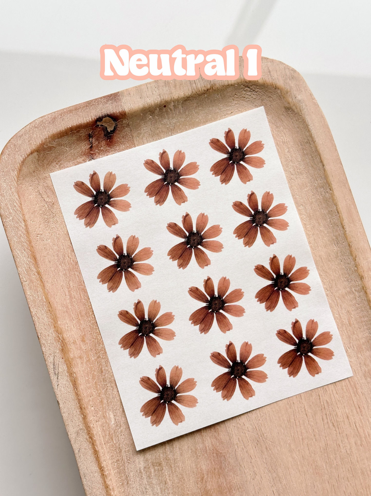 Pressed Flower Singles Transfer Sheets