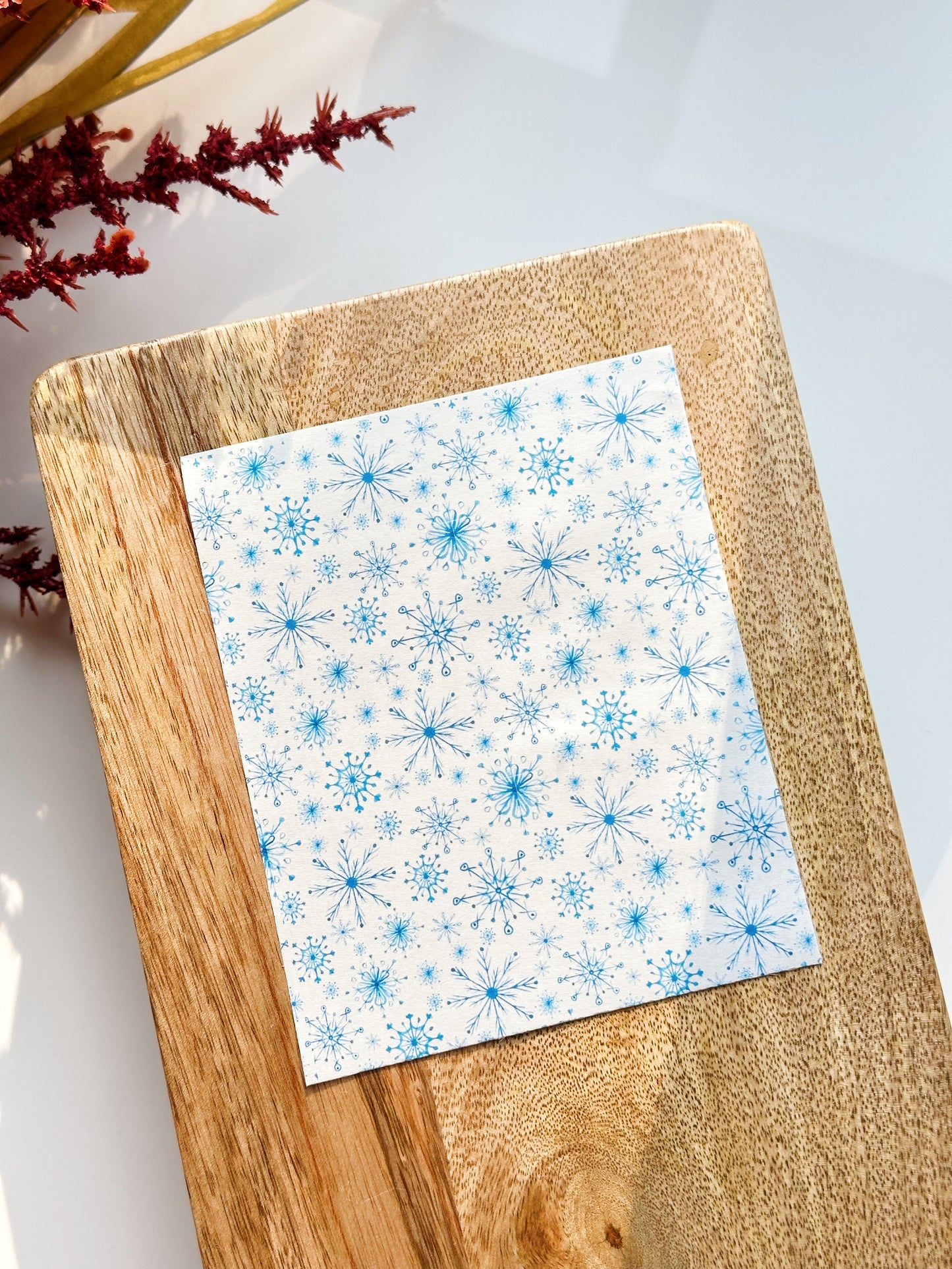 Transferencia de invierno 12