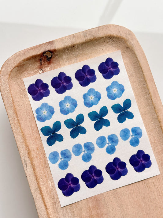 Feuille de transfert de fleurs pressées (bleues et violettes)