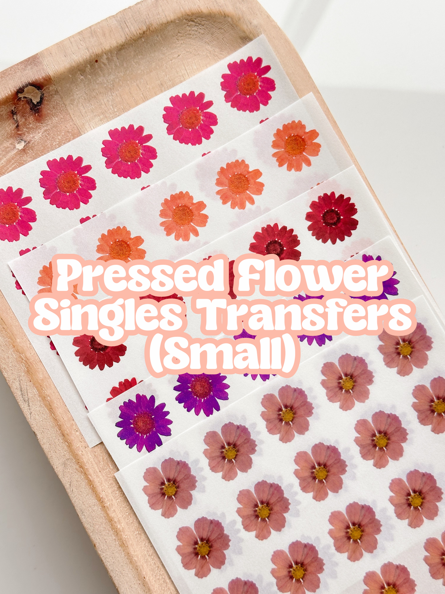 Pressed Flower Singles (Small) Transfer Sheets