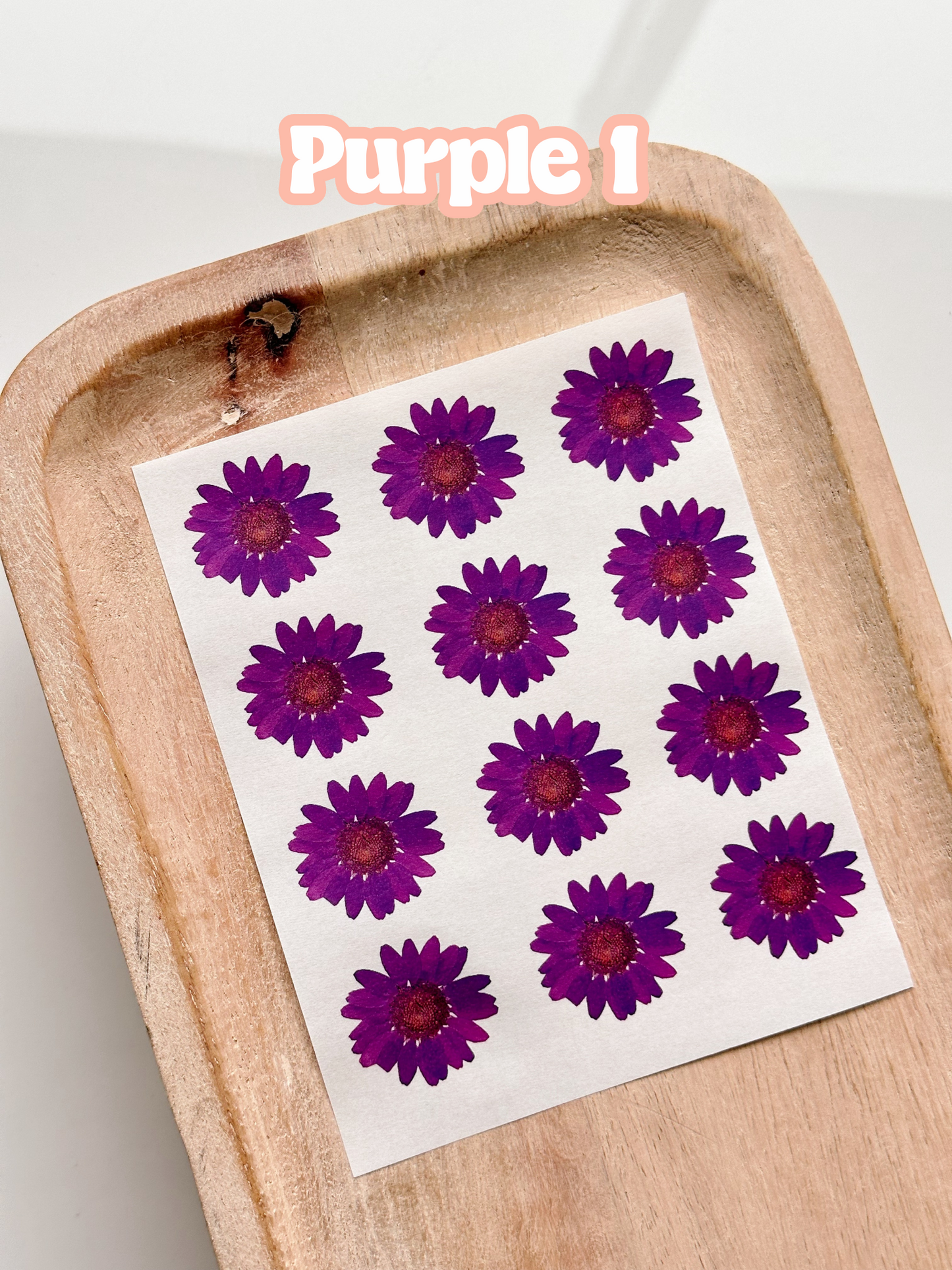 Pressed Flower Singles Transfer Sheets