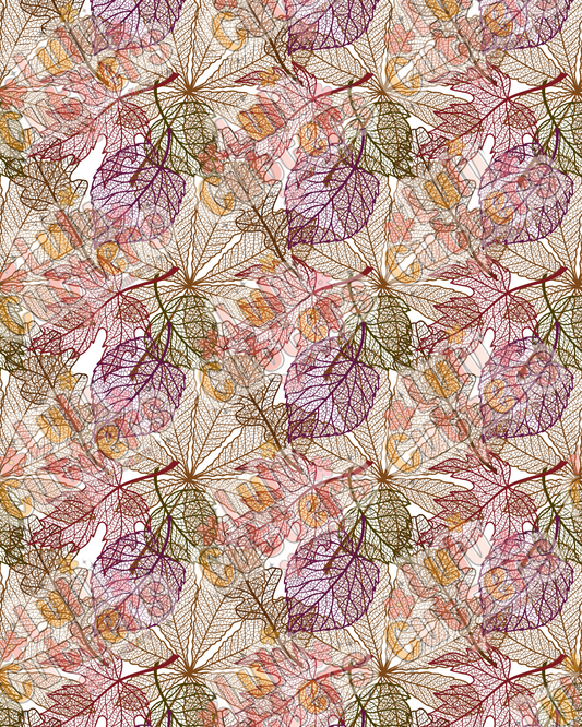 Fall 2025 7 Transfer Sheet