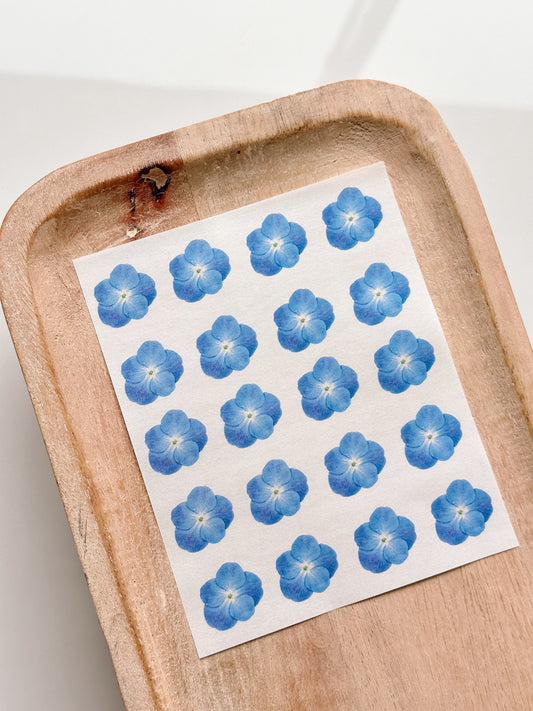 Feuille de transfert Fleurs pressées 2