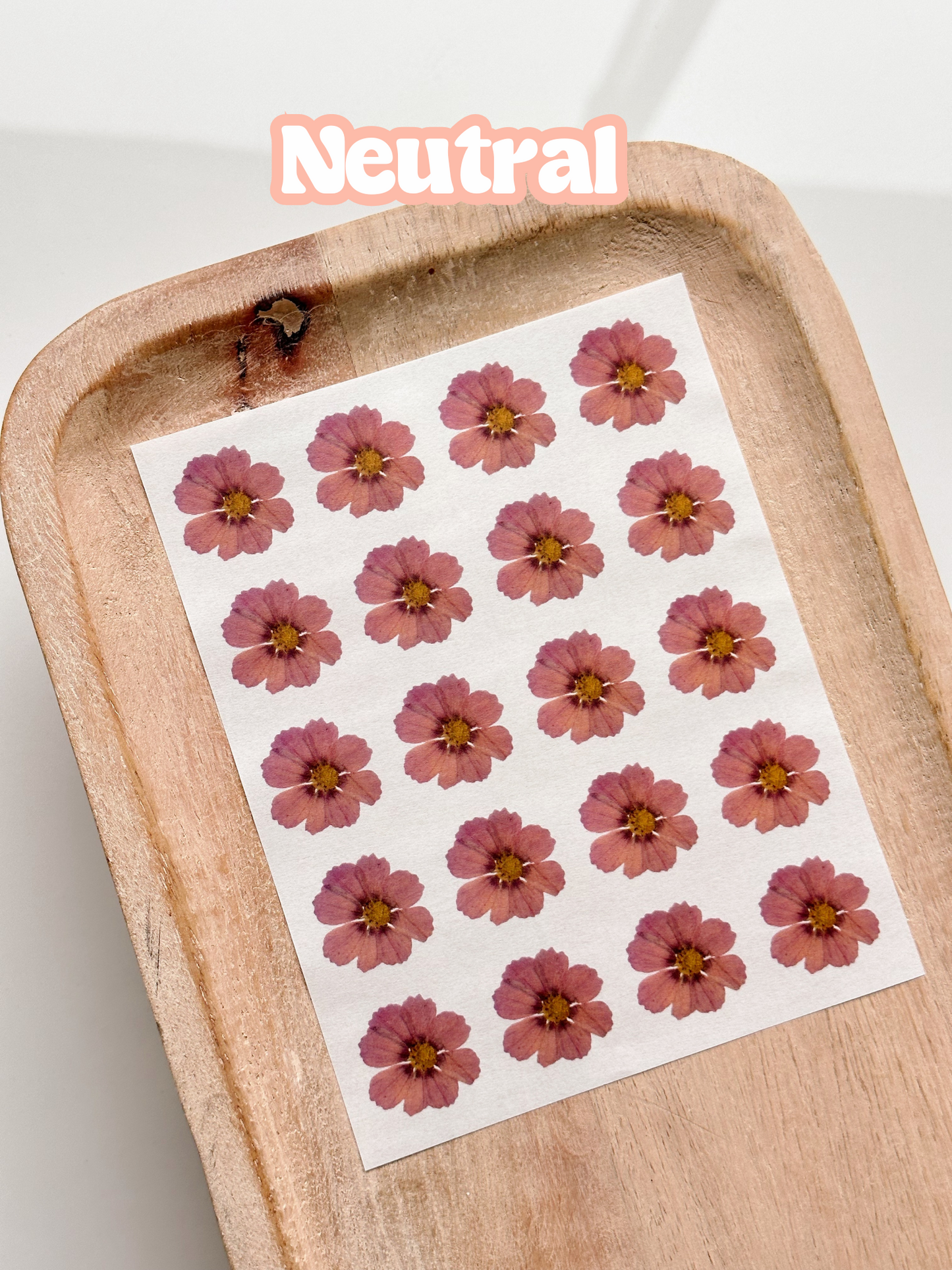 Pressed Flower Singles (Small) Transfer Sheets
