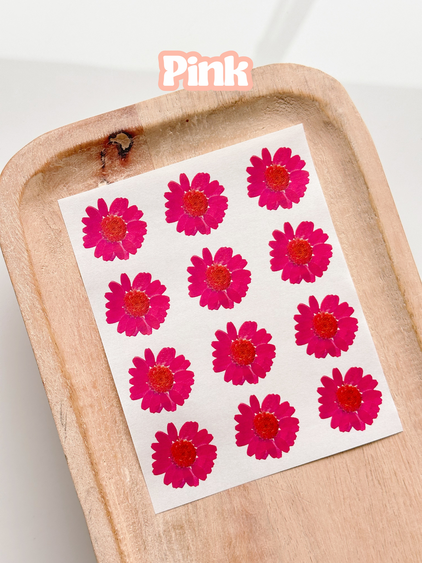 Pressed Flower Singles Transfer Sheets
