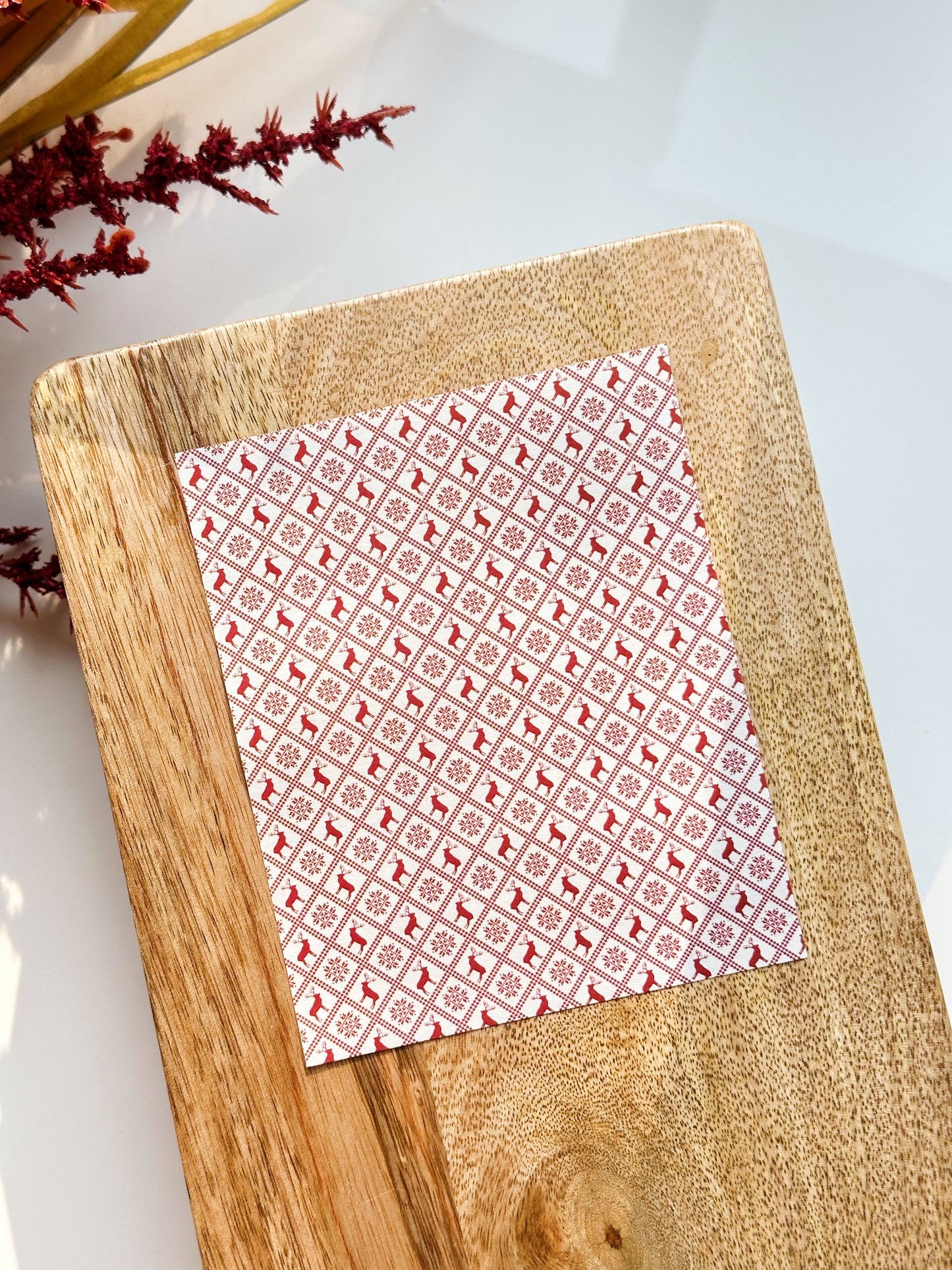 Transfert de l'hiver 11