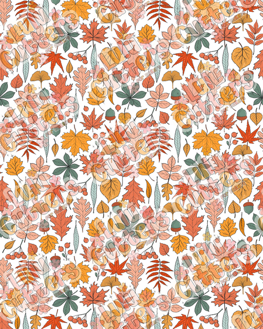 Fall 2025 19 Transfer Sheet