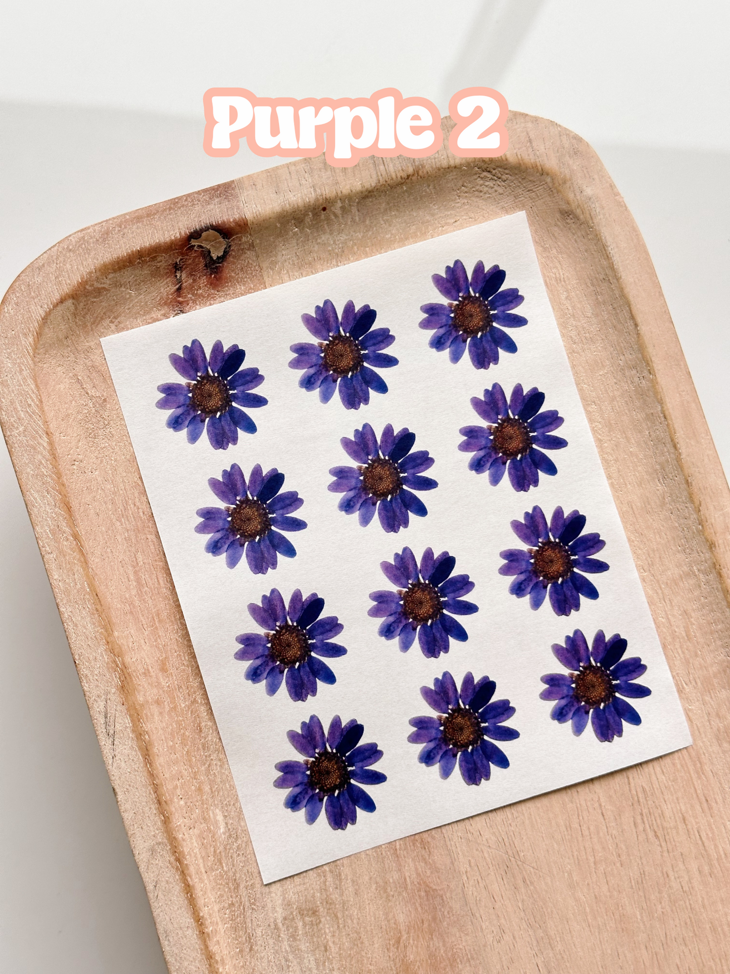 Pressed Flower Singles Transfer Sheets