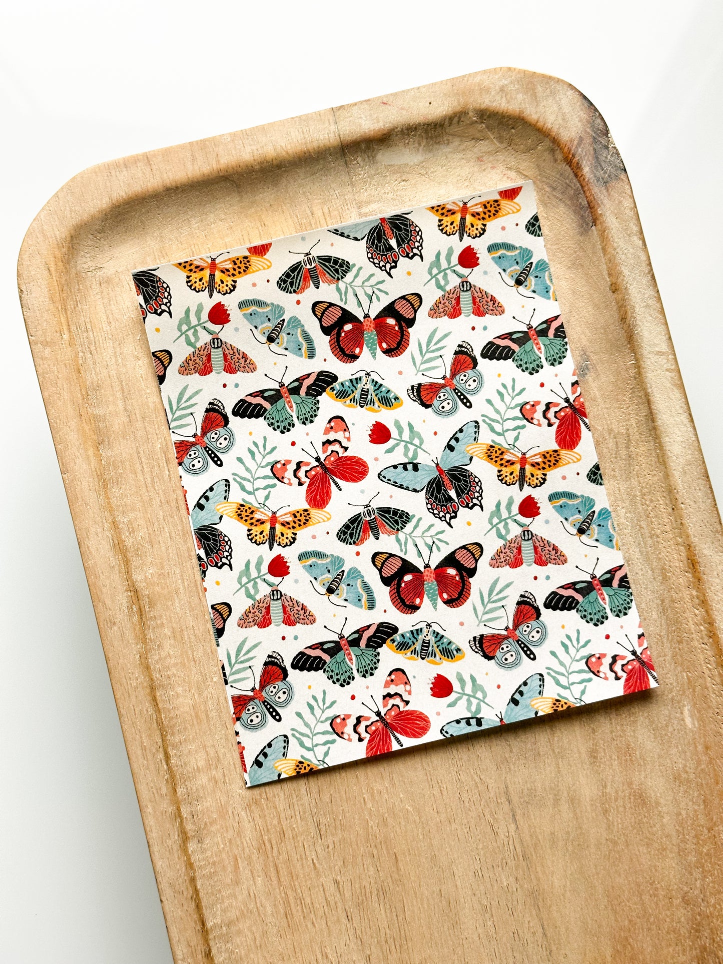 Feuille de transfert Moth 2