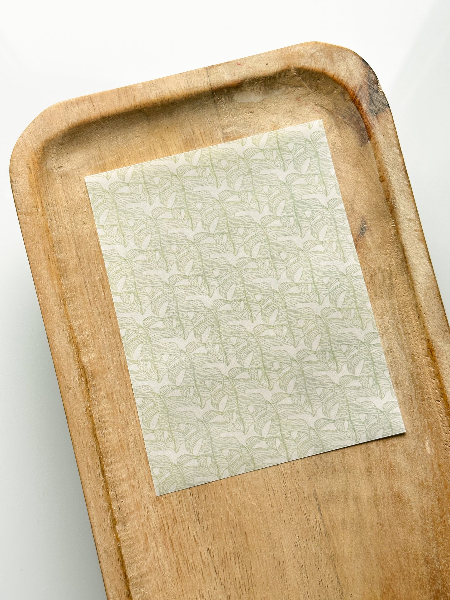 Feuille de transfert de dessins Monstera