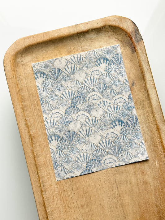 Feuille de transfert de coquillages