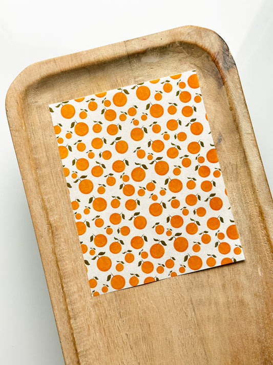 Watercolor Oranges Transfer Sheet