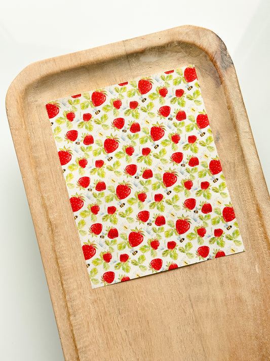 Summer 3 Transfer Sheet