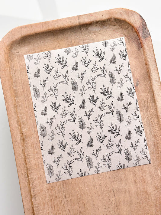 BW CC 4 Transfer Sheet