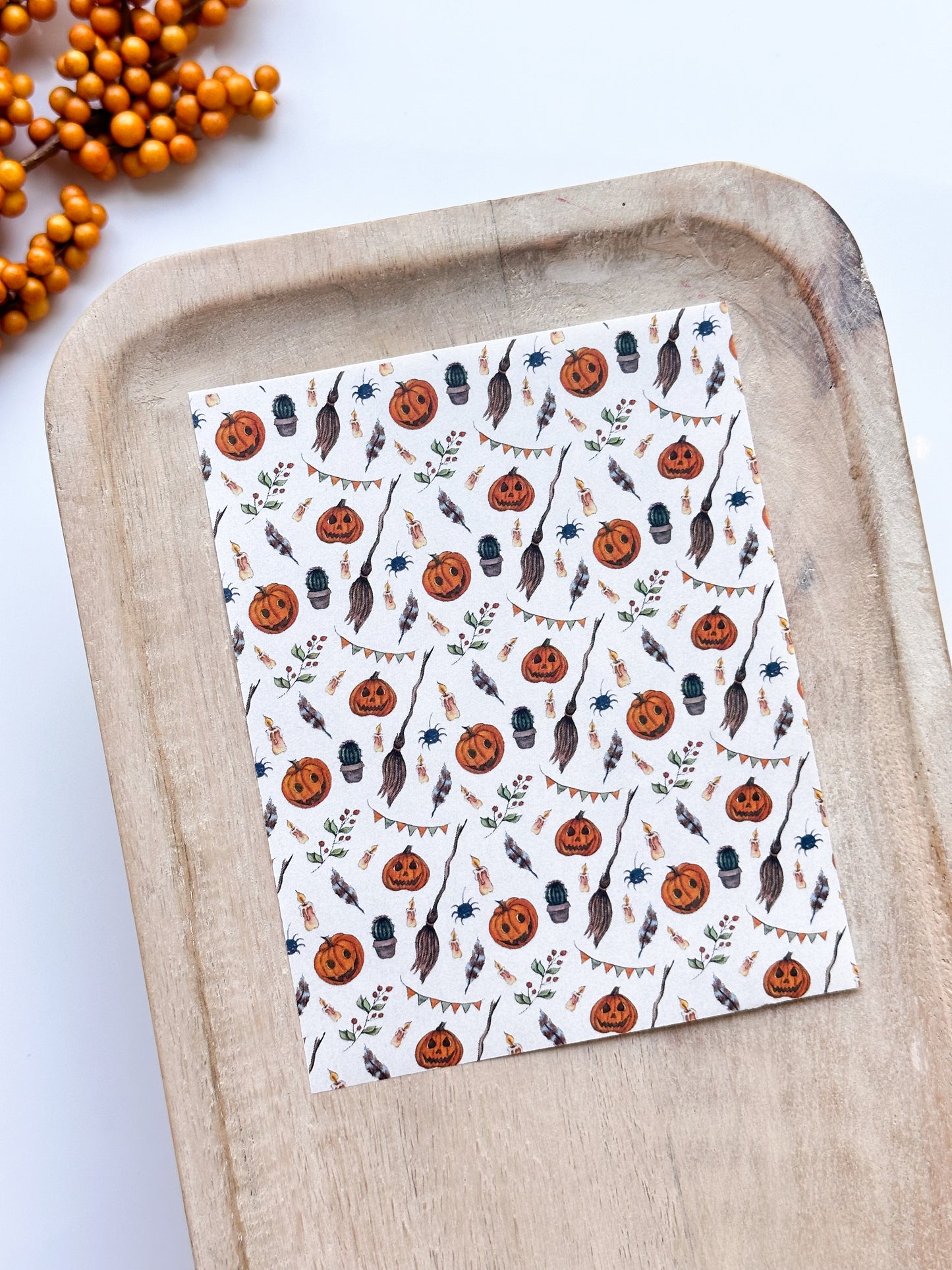 Fall No. 28 Transfer Sheet