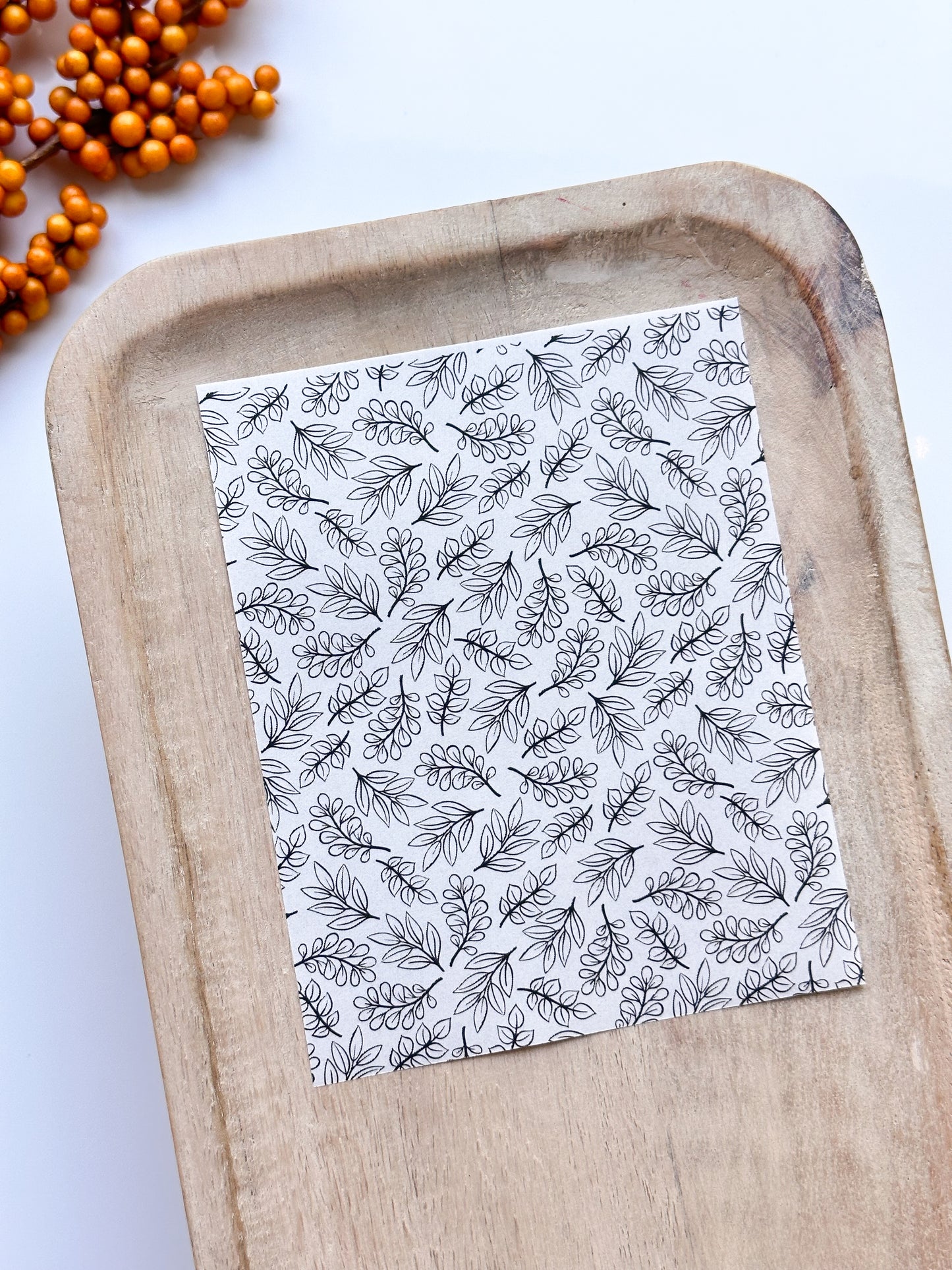 Fall No. 31 Transfer Sheet