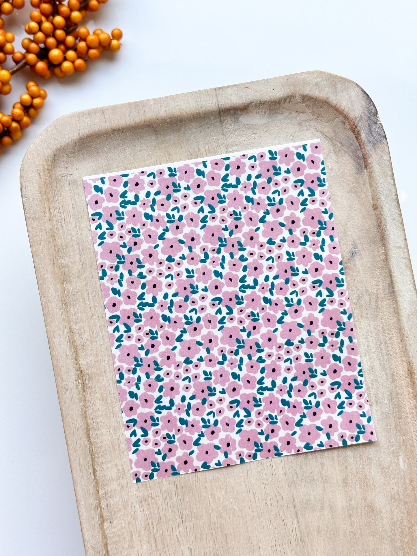 Fall No. 42 Transfer Sheet