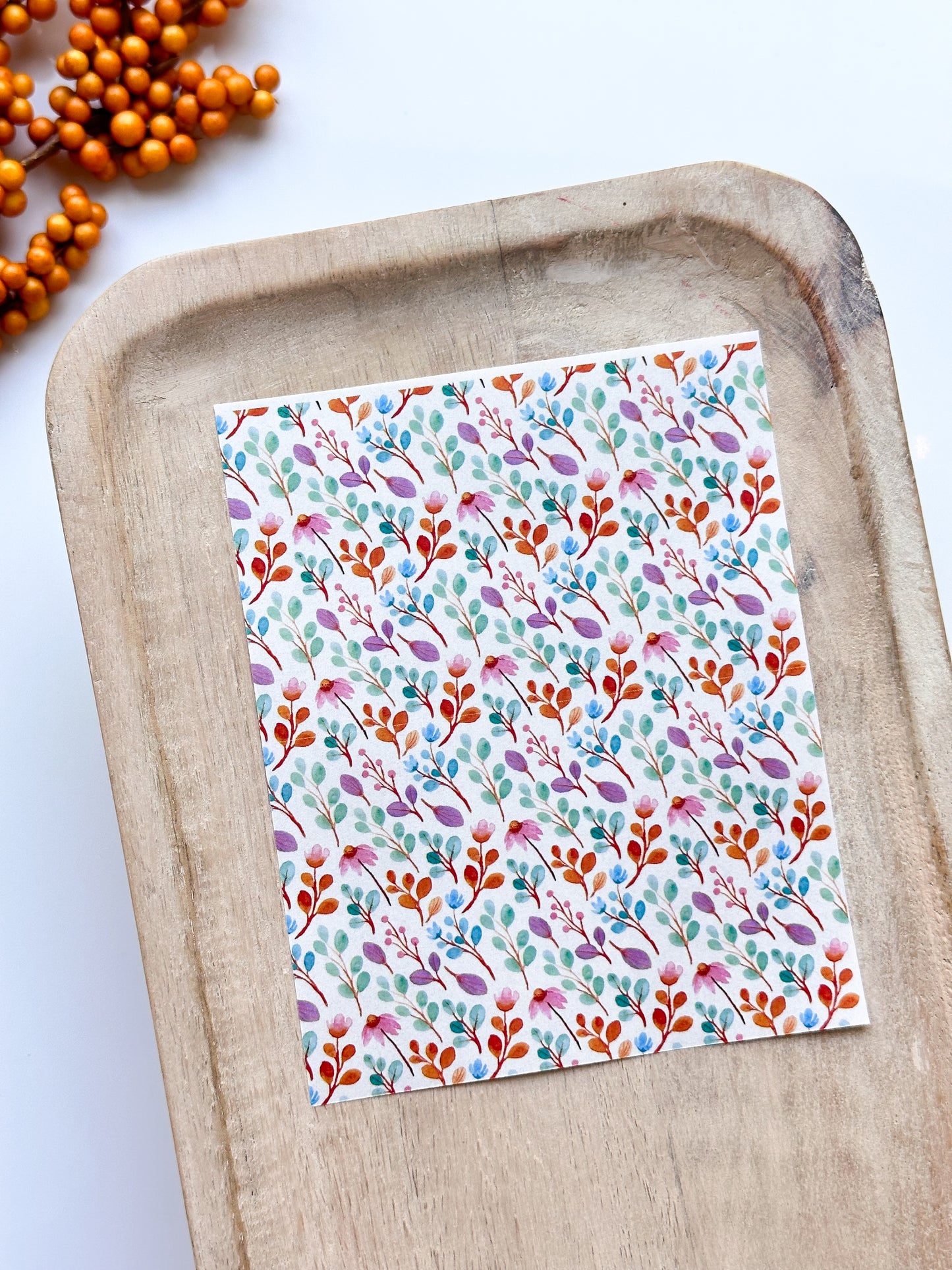 Fall No. 41 Transfer Sheet