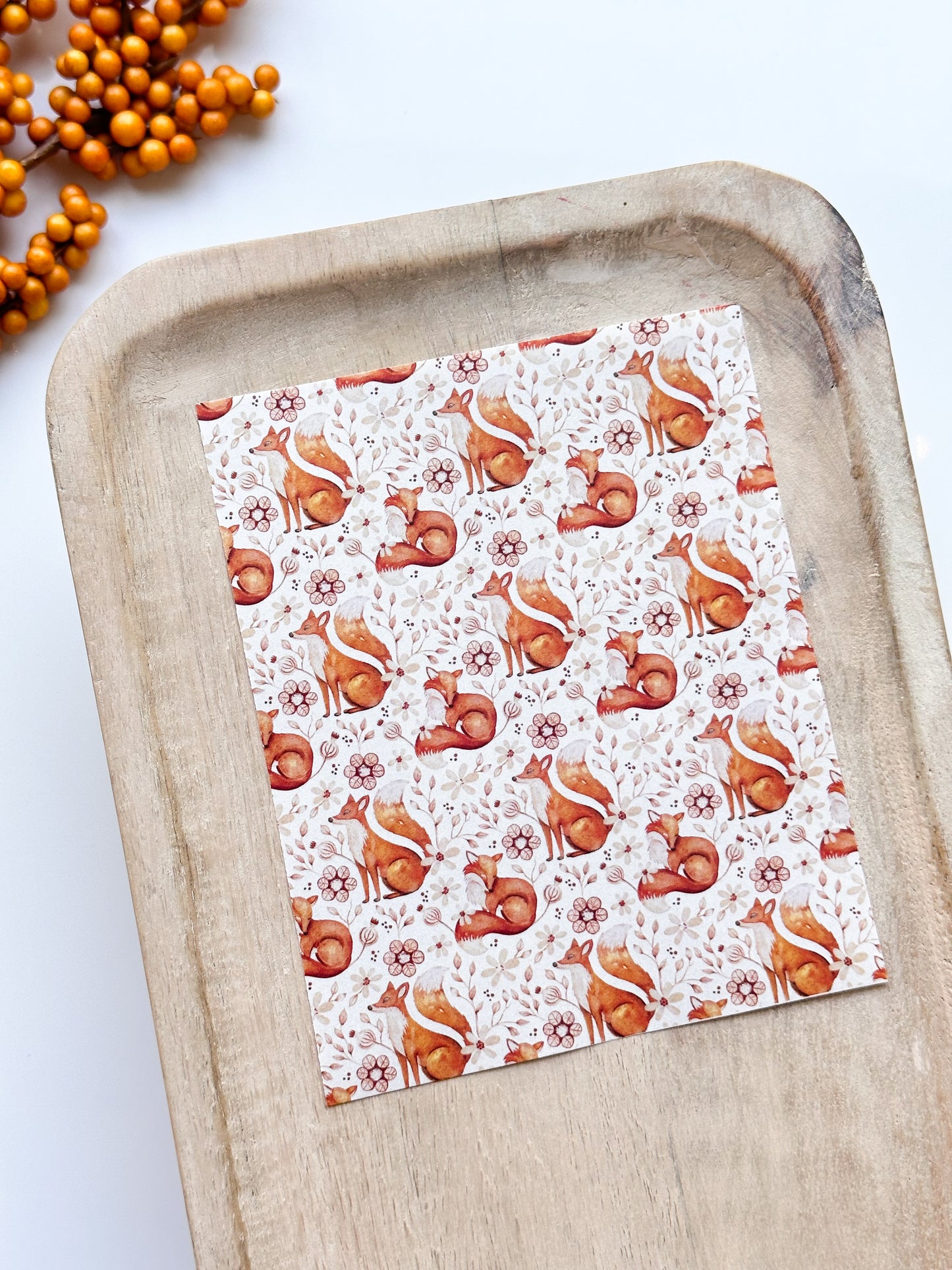 Fall No. 20 Transfer Sheet