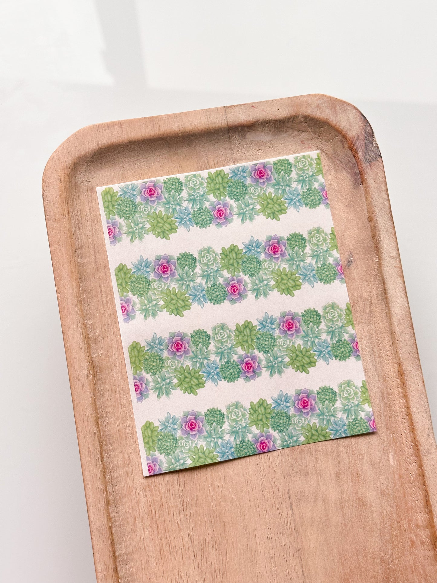 Feuille de transfert Succulent 4.1