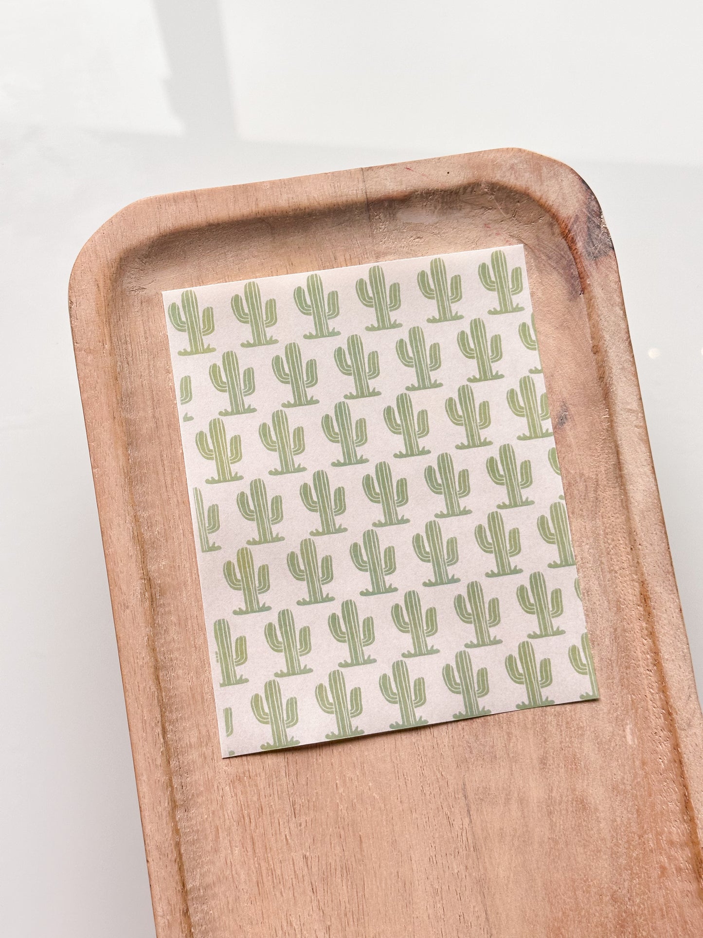 Hoja de transferencia Cactus 4