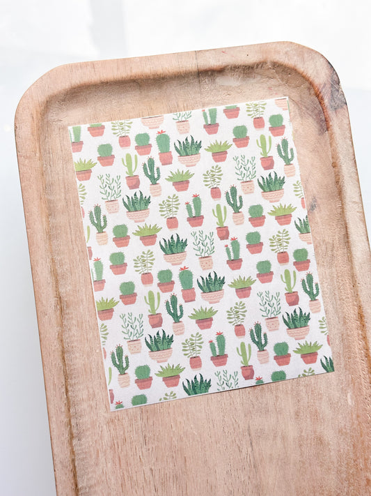 Cactus 7 Transfer Sheet