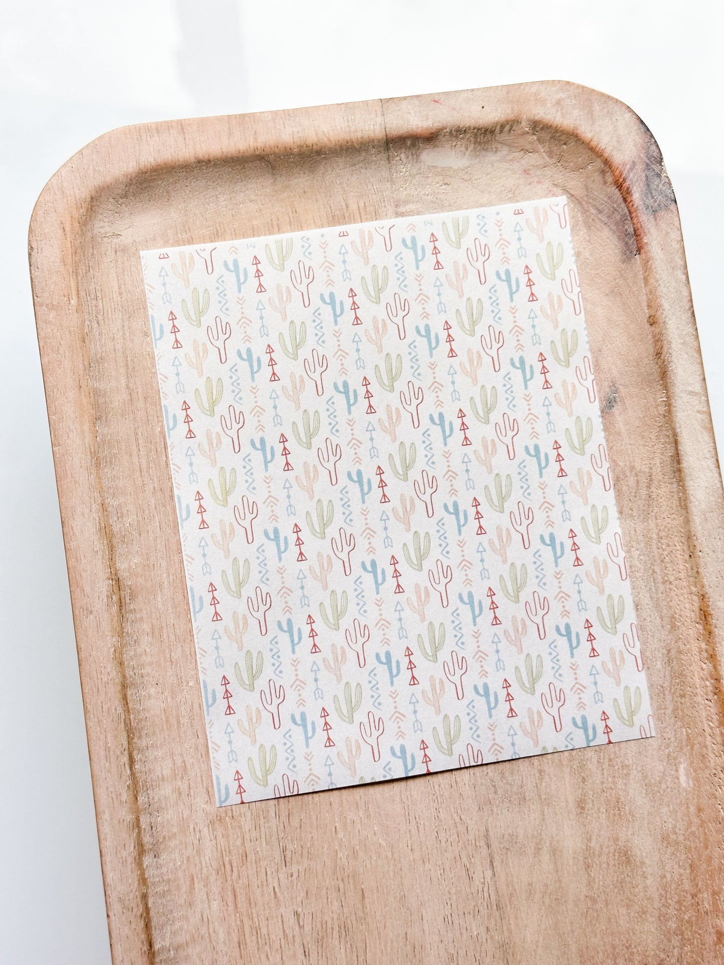 Feuille de transfert Cactus 6