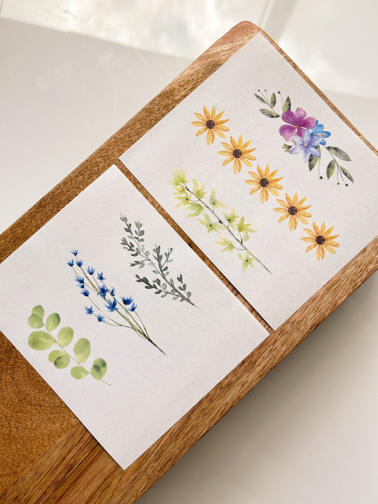 Bookmark Transfer Bundle (ALL)