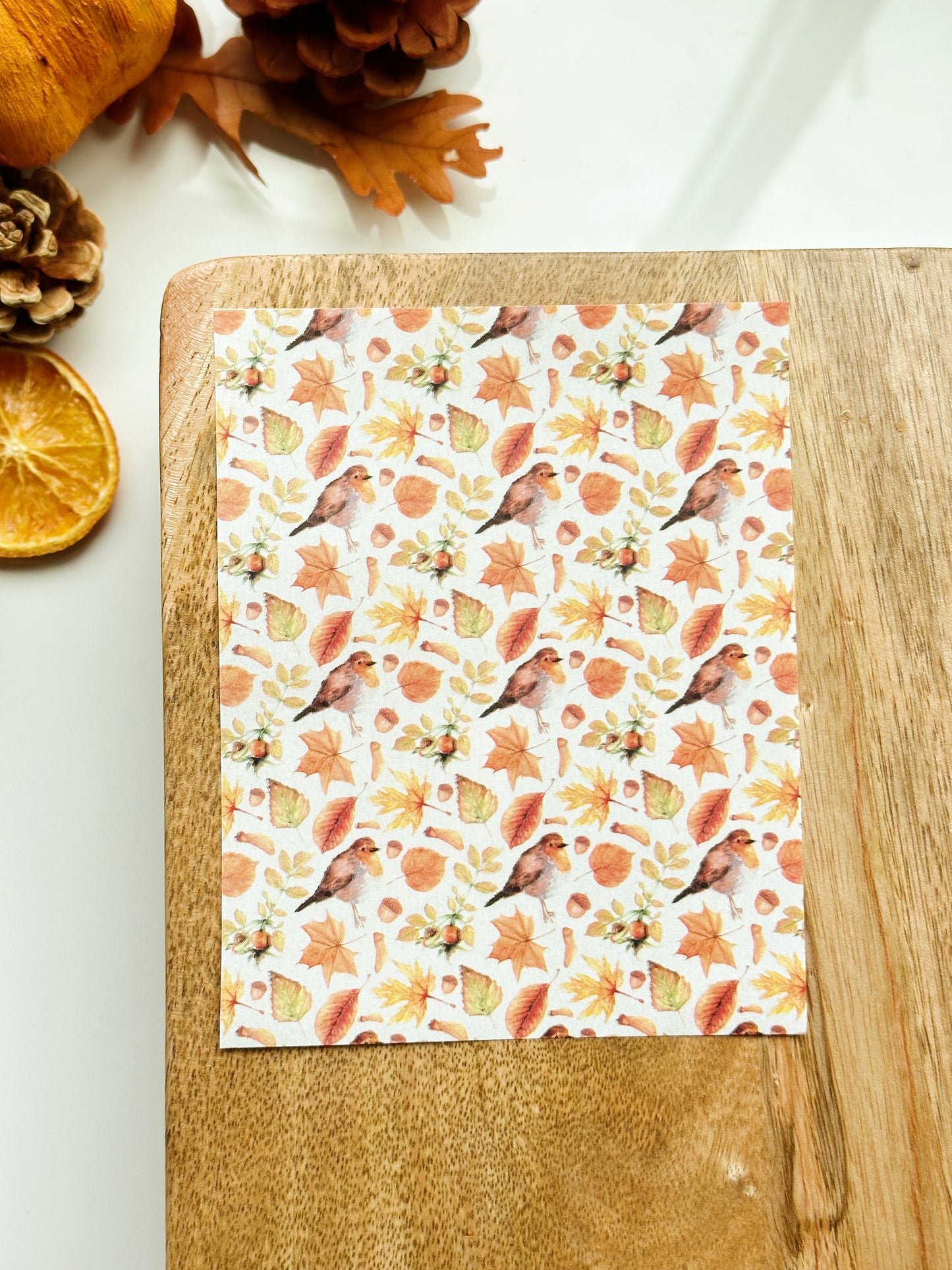 Fall No. 15 Transfer Sheet