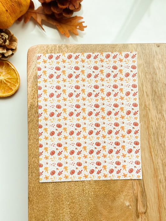 Fall No. 11 Transfer Sheet