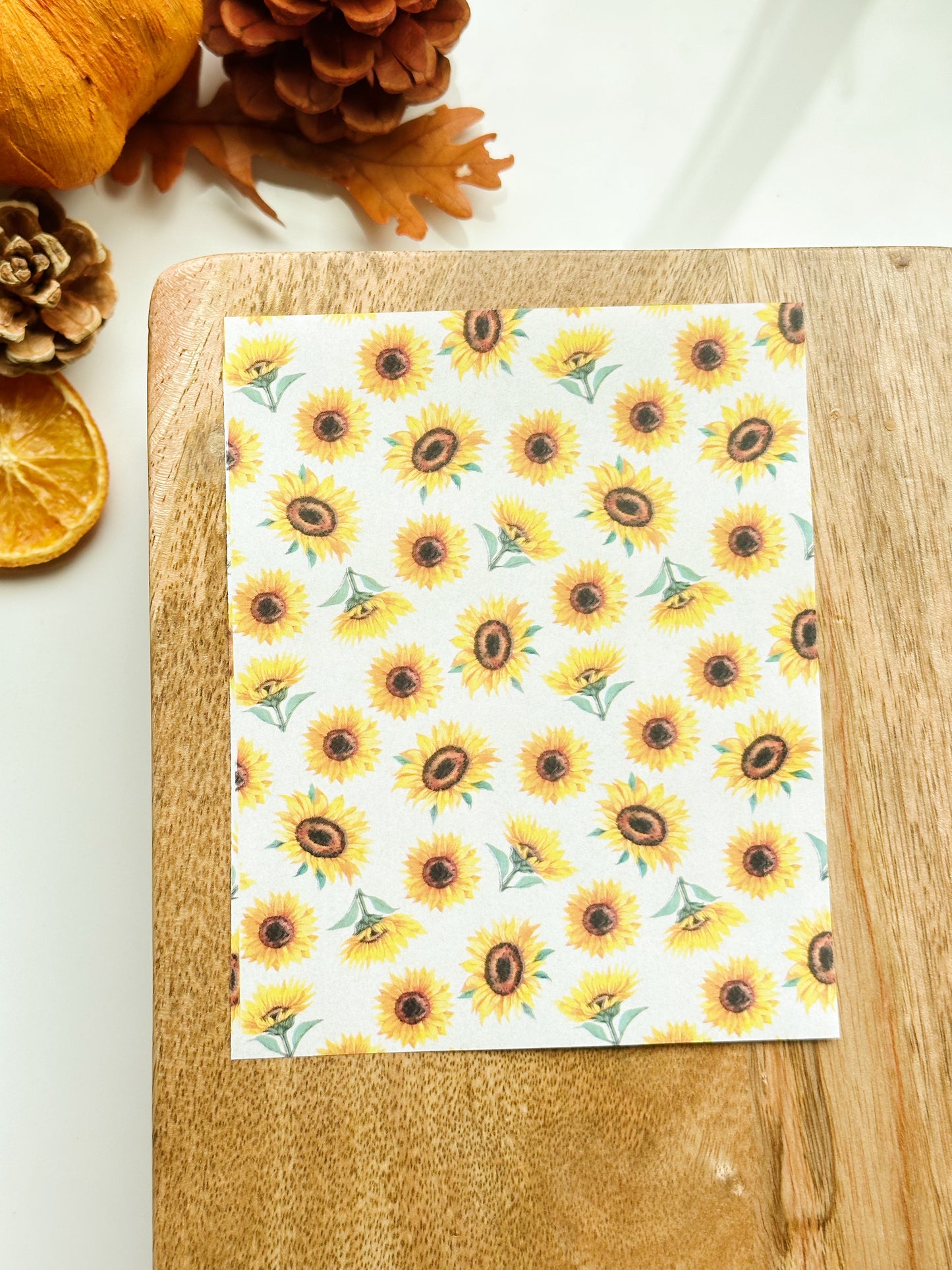 Fall No. 2 Transfer Sheet