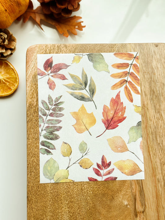 Fall No. 5 Transfer Sheet