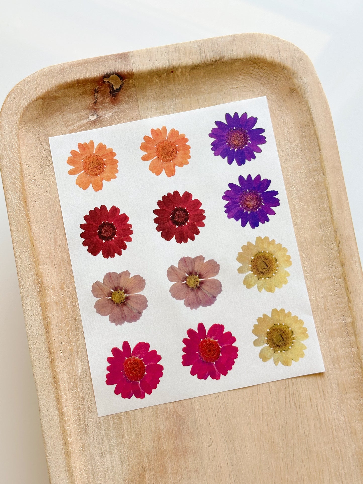 Feuille de transfert pour fleurs pressées