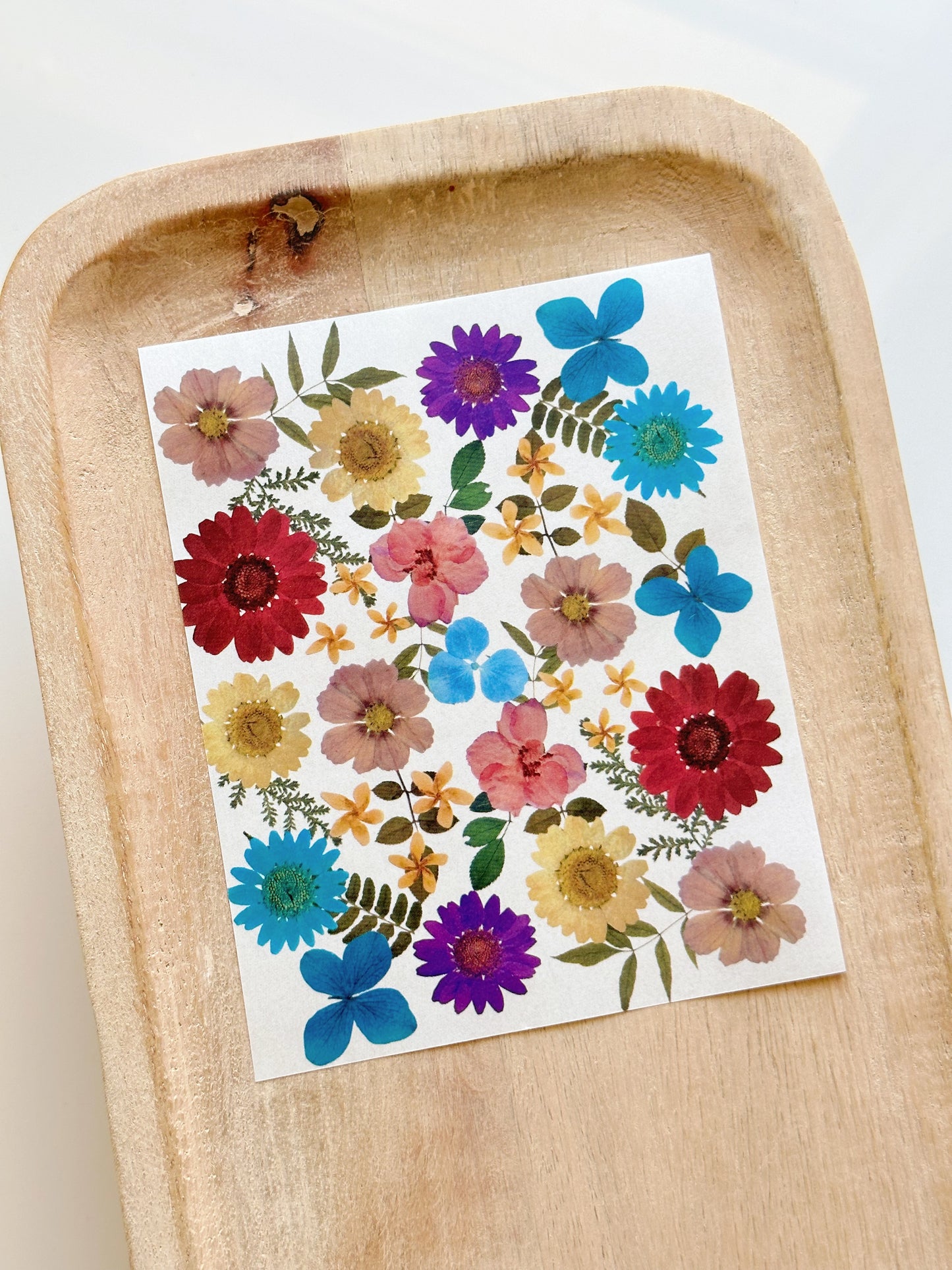 Feuille de transfert de fleurs pressées