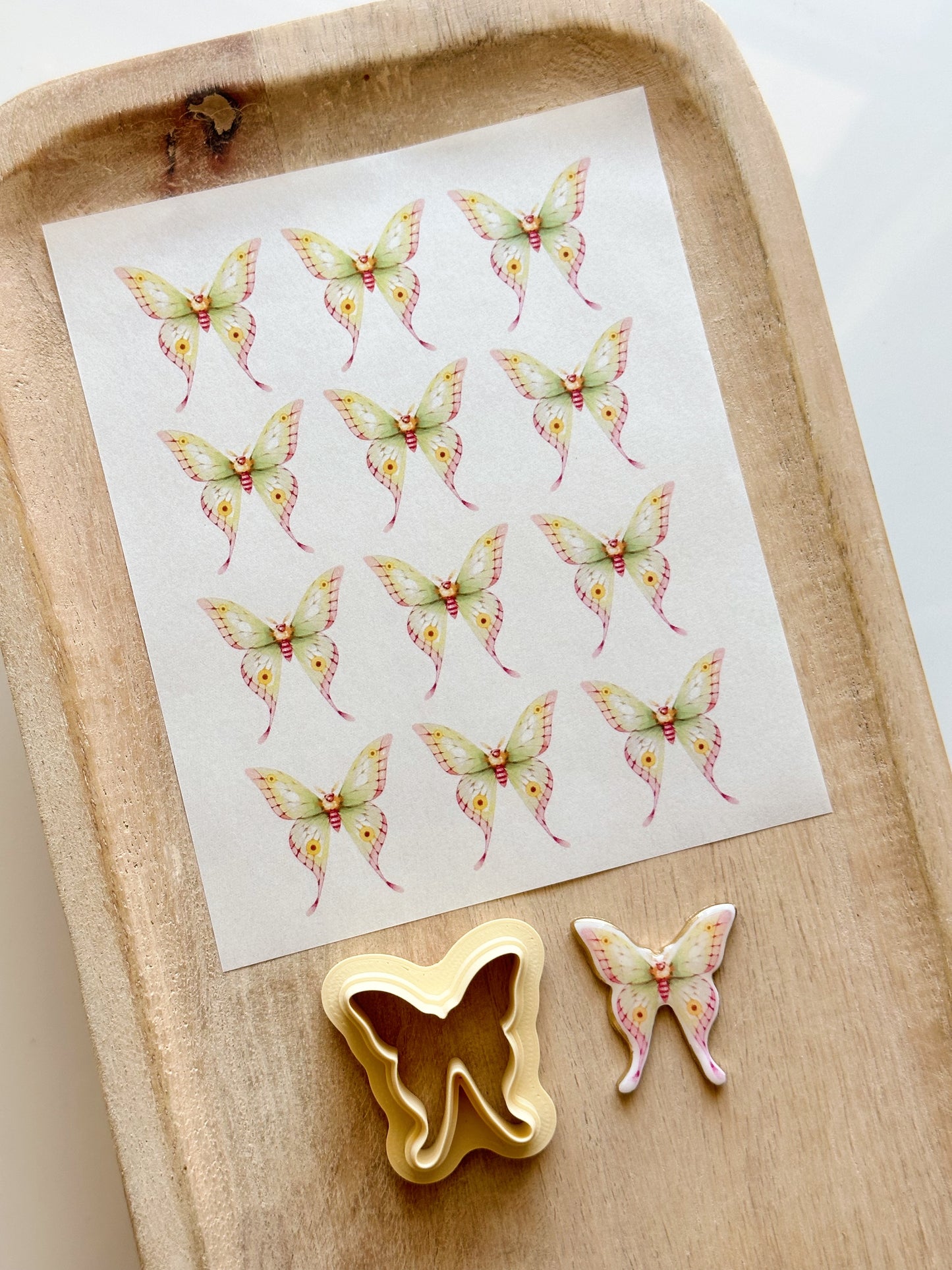 Luna Moth Transfer Sheet