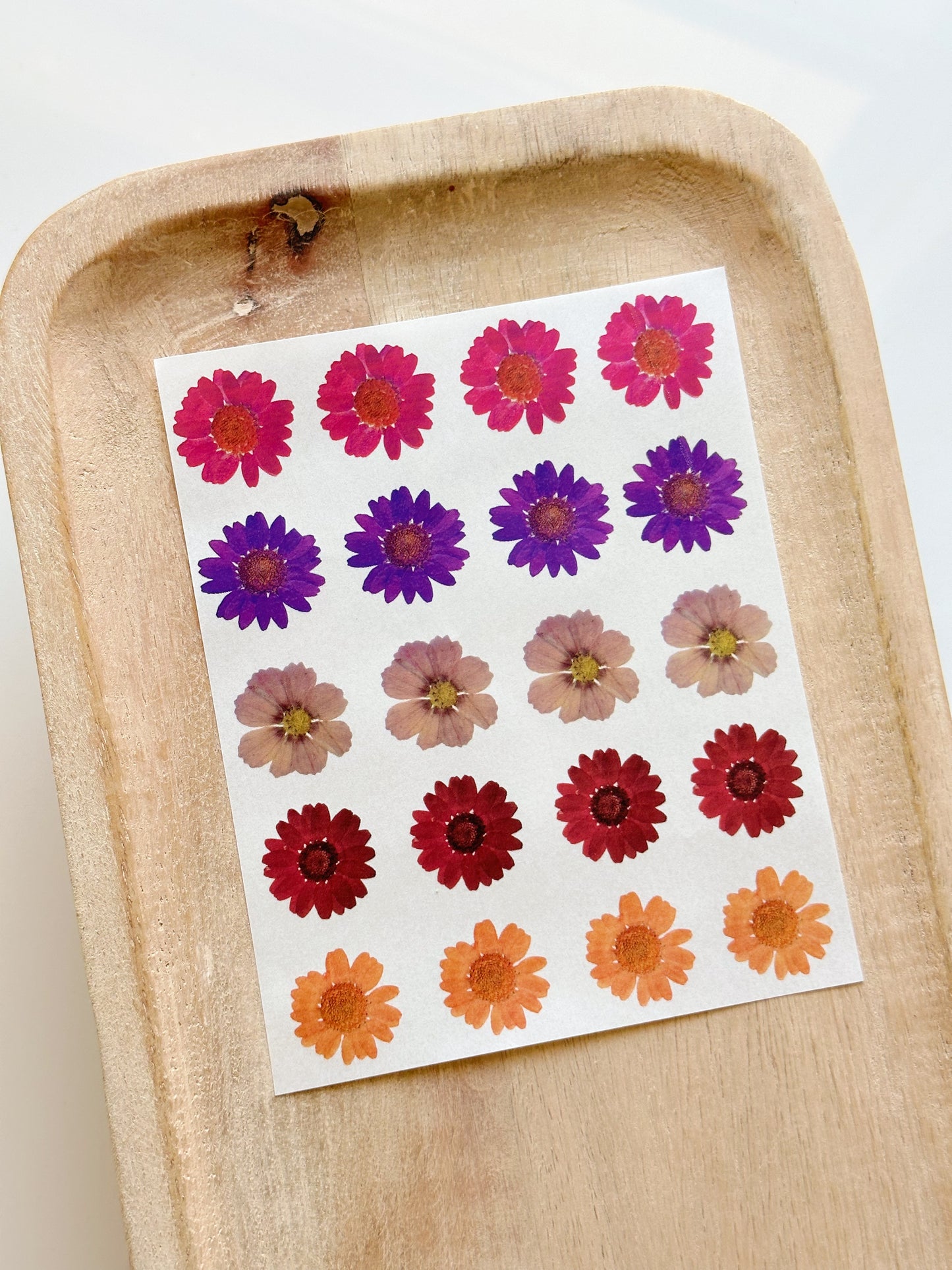 Feuille de transfert pour fleurs pressées