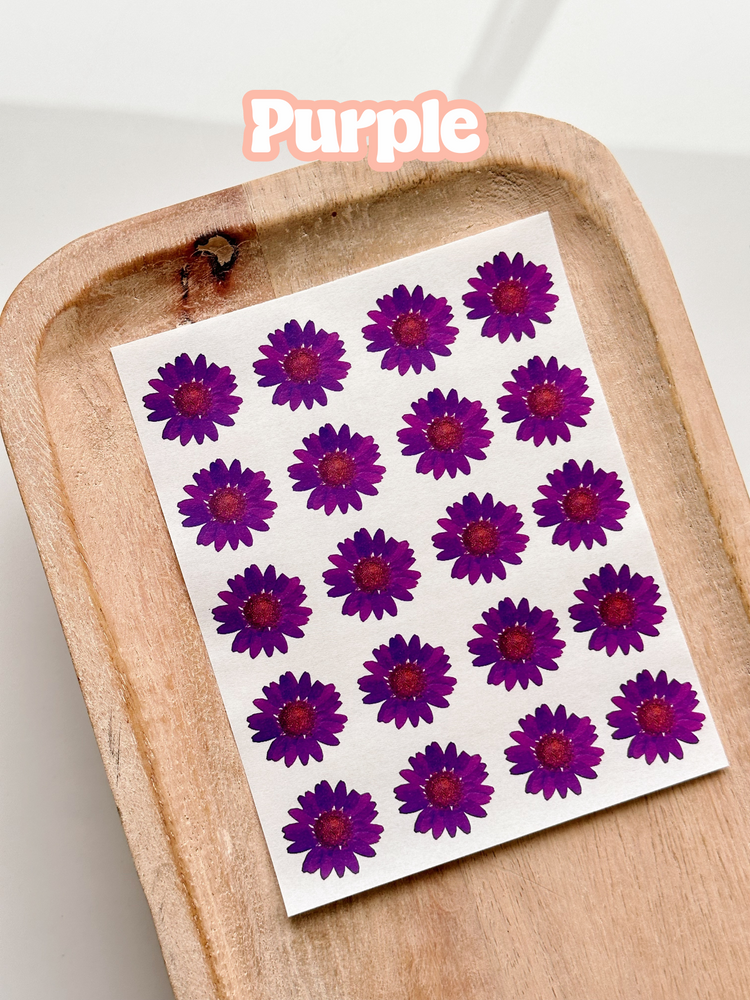 Pressed Flower Singles (Small) Transfer Sheets