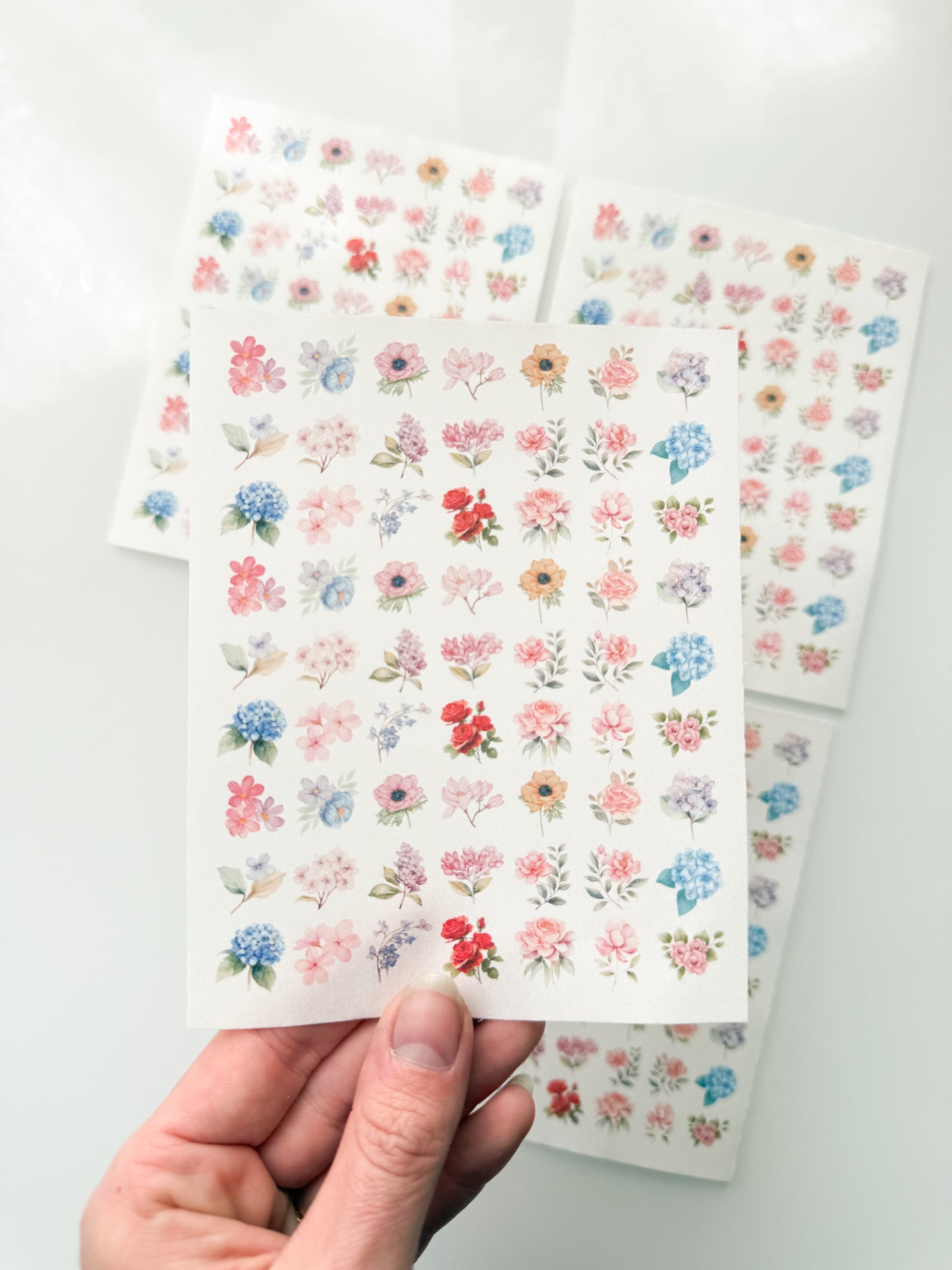 FLORALS 113 Transfer Sheet Single Or 4 Pack