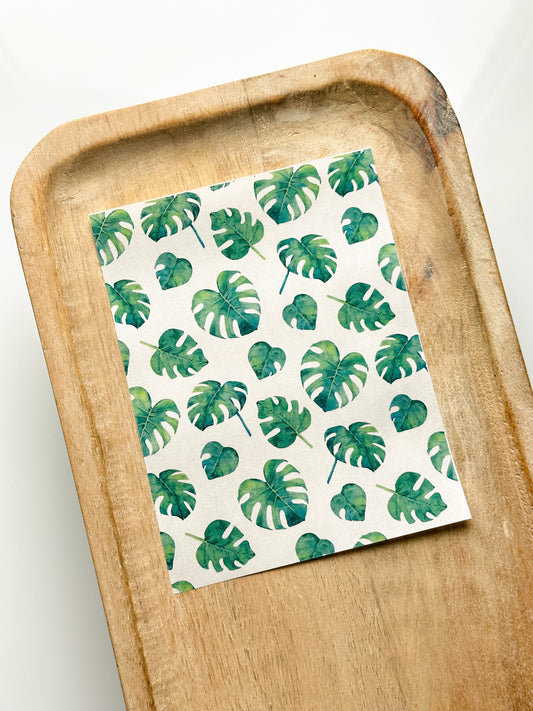 Monstera Transfer Sheet