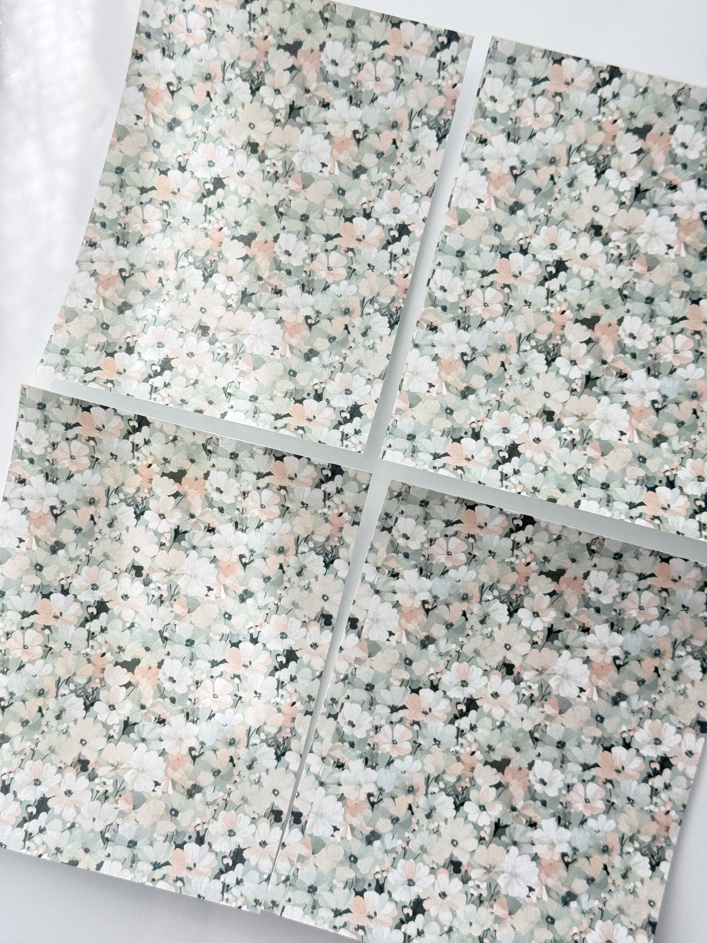 Hoja de transferencia BOWS